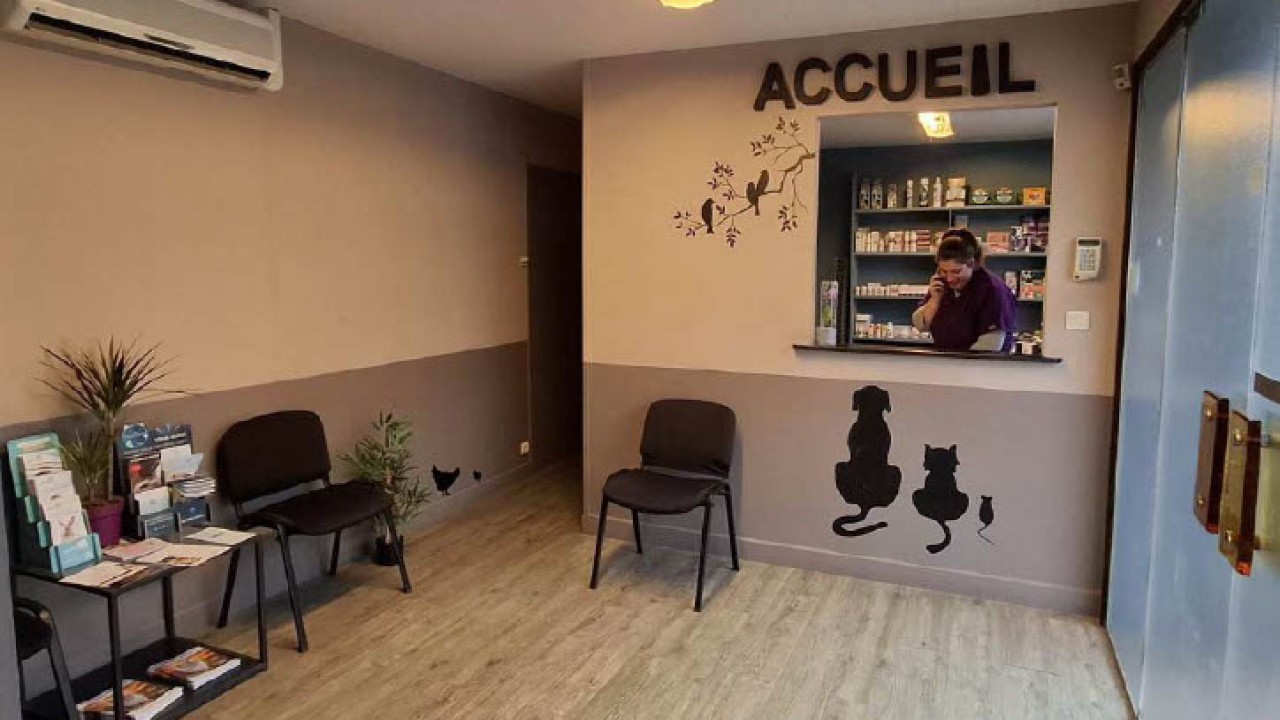Accueil